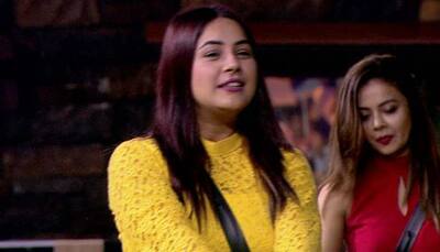 Bigg Boss 13 Day 12 written updates: Paras tries to sort things out with Shehnaaz
