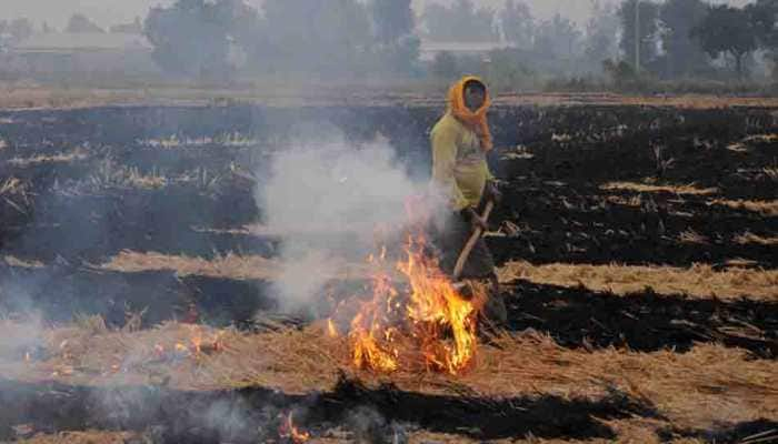 Farmers in Punjab&#039;s Amritsar continue to burn stubble despite ban