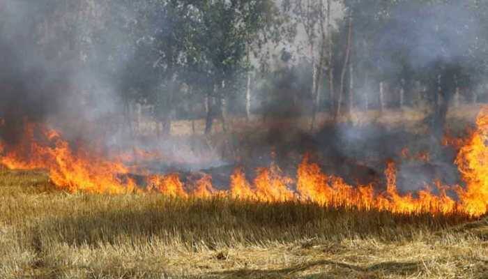 Stubble burning: NGT seeks Action Taken Report from Uttar Pradesh, Haryana, Punjab