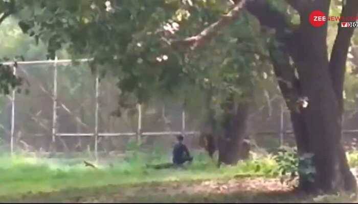 Mentally unstable man jumps into lion's enclosure in Delhi zoo, rescued by security personnel- Watch video