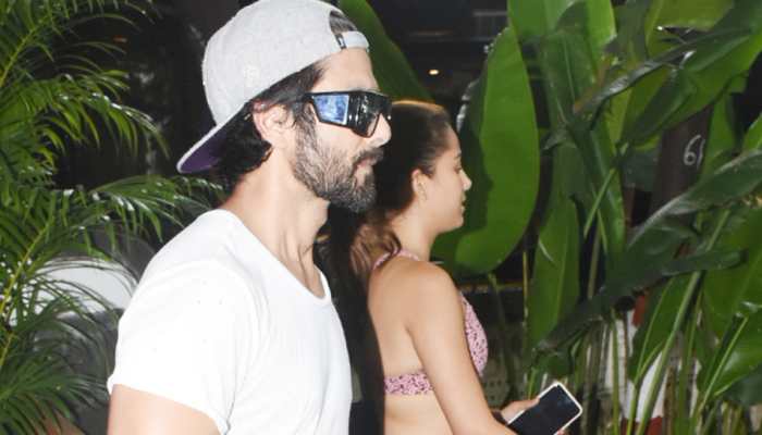 Here&#039;s what kept Shahid Kapoor and wife Mira Rajput busy on a lazy Sunday