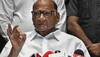 Maharashtra verdict is a lesson for those who said my politics is over: NCP chief Sharad Pawar