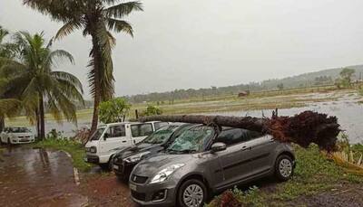 Goa issues red alert over heavy rains; all exams cancelled by state university
