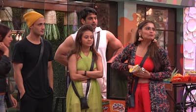 Bigg Boss 13 Day 25 Written Updates: Rashami Desai provokes Siddhartha Dey 