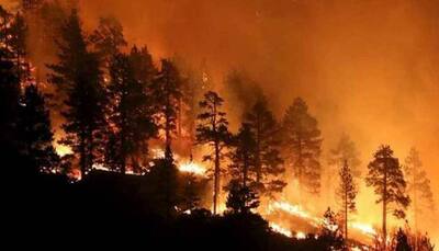 California wildfires: US largest utility to shut off power to 9.4 lakh customers