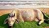 Sudarsan Pattnaik wishes on Govardhan Puja with a divine sand art—See inside