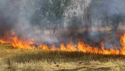 Aam Adami Party leaders slam Center for not taking stern action against stubble burning in Punjab and Haryana 