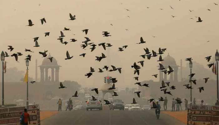 Air pollution in Delhi-NCR remains in severe-plus category; AQI in Hisar reaches 804