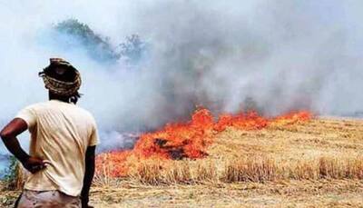 30% rise in stubble burning cases in Punjab