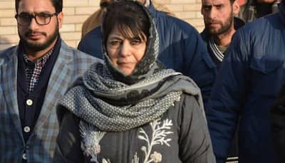 Ex-Jammu and Kashmir Chief Minister Mehbooba Mufti slams Congress for its stand on Article 370