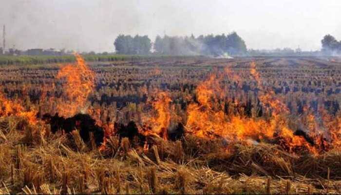 Stubble burning must stop, penalise Gram Pradhans if they fail to act: Supreme Court