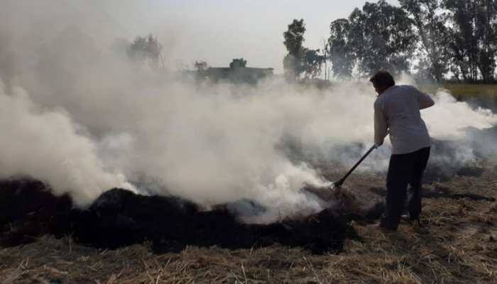 Ludhiana intensifies drive against stubble burning, 22 farmers arrested