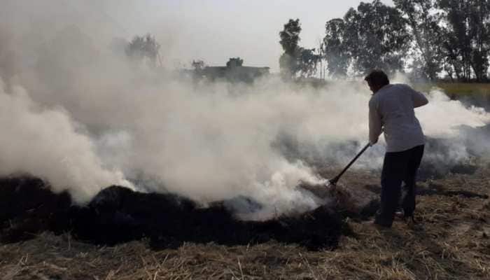 Ludhiana intensifies drive against stubble burning, 22 farmers arrested