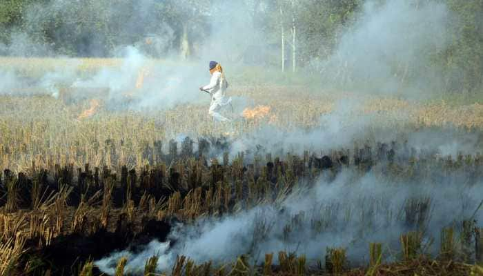 As Delhi battles air pollution, SC slams Punjab govt for failing to tackle stubble burning