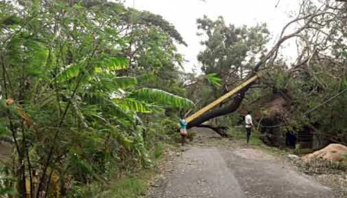 IMD: Cyclone Bulbul will weaken into depression during next 12 hours 