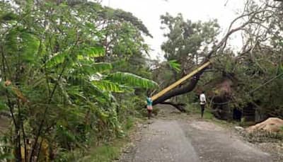 IMD: Cyclone Bulbul will weaken into depression during next 12 hours 