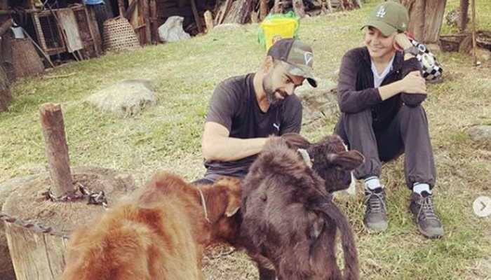 After pup, Anushka Sharma-Virat Kohli befriend calves in Bhutan- See pics 