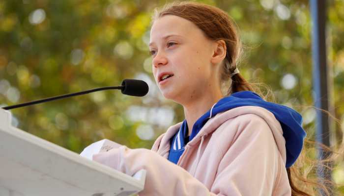 Massive mural of Greta Thunberg to stare down at San Francisco