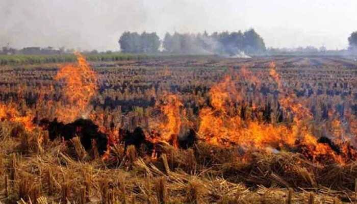 189 farmers penalised in Haryana for stubble burning