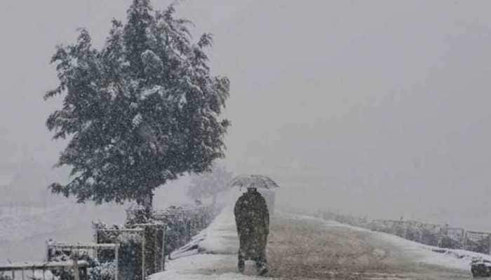 Apple harvest suffers due to snowfall in Jammu and Kashmir's Shopian, Pulwama