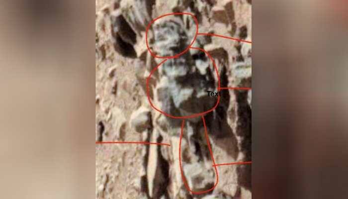 Photos show evidence of life on Mars, claims scientist
