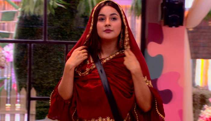 'Bigg Boss 13': Rashami Desai taunts Shehnaaz Gill for borrowing clothes