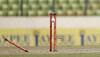 Australia's Sophie Molineux takes break from cricket due to mental health issues
