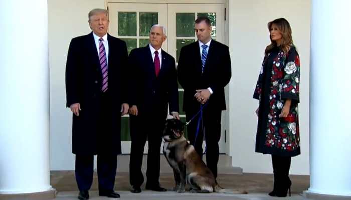 Conan is a tough cookie: Donald Trump welcomes military dog, who helped kill al-Baghdadi, to White House