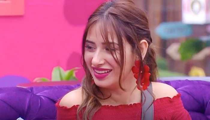 Bigg Boss 13: Contestants ring in Mahira's 23rd birthday