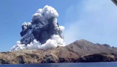 New Zealand launches investigation into deadly volcanic eruption that killed five