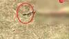 Today Supreme Court hears plea on Hyderabad encounter