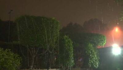 Heavy rains, strong wind in Delhi impact flight operations, air quality likely to improve