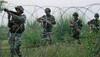 Jawan martyred after Pakistan violates ceasefire in Jammu and Kashmir's Gurez sector