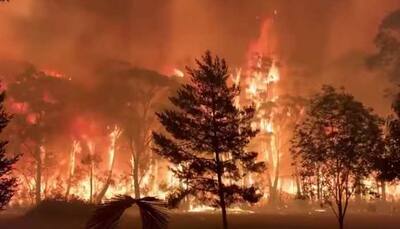 Australian state declares emergency as wildfires surround Sydney