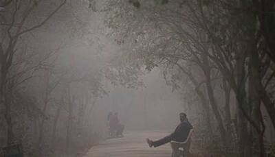 Cold wave grips North India, temperature drops to zero degree in Rajasthan's Sikar