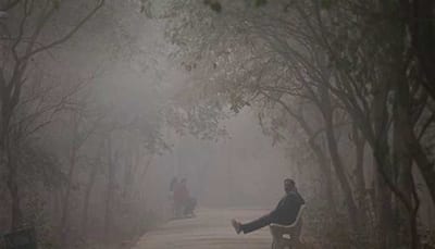 Cold wave grips North India, temperature drops to zero degree in Rajasthan's Sikar