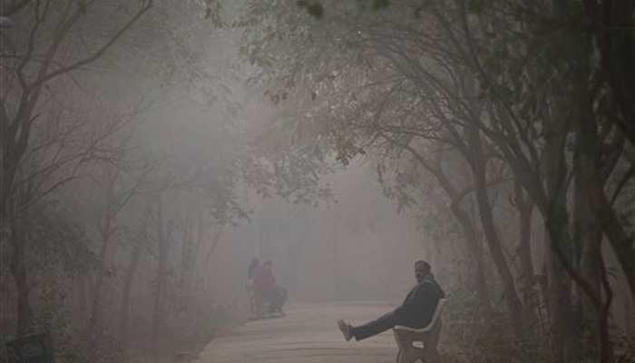 Cold wave grips North India, temperature drops to zero degree in Rajasthan's Sikar