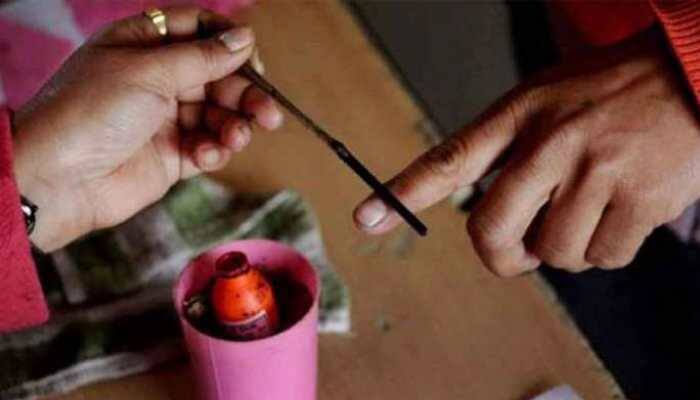 Local body election: Voting underway at 939 polling stations in Tamil Nadu's Madurai