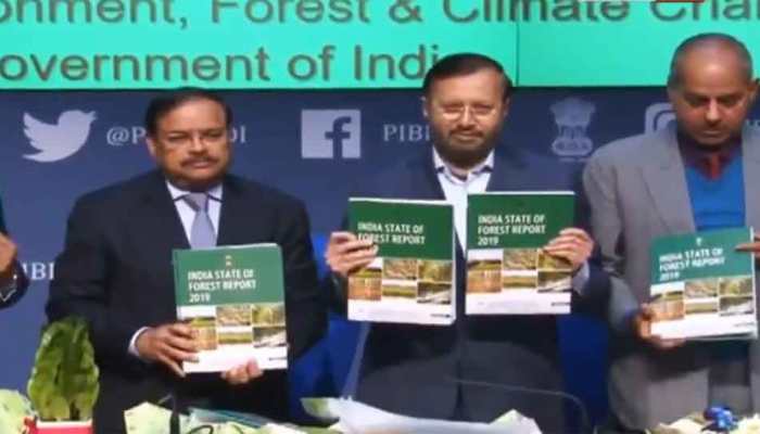 India&#039;s forest cover up 5,188 sq km in 1 year, says Union Minister of Environment Prakash Javadekar   