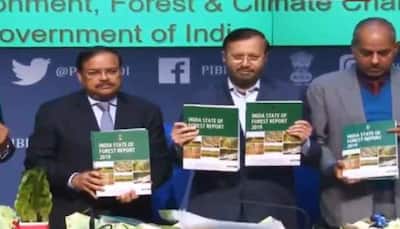 India's forest cover up 5,188 sq km in 1 year, says Union Minister of Environment Prakash Javadekar   