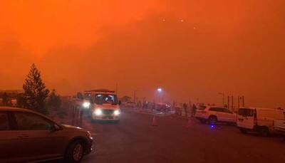 Thousands of Australians flee to beaches to escape bushfires