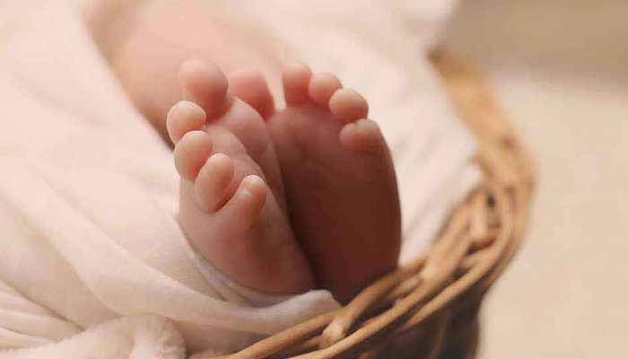 Kota infants death toll reaches 100; Union Health Minister writes letter to Rajasthan CM