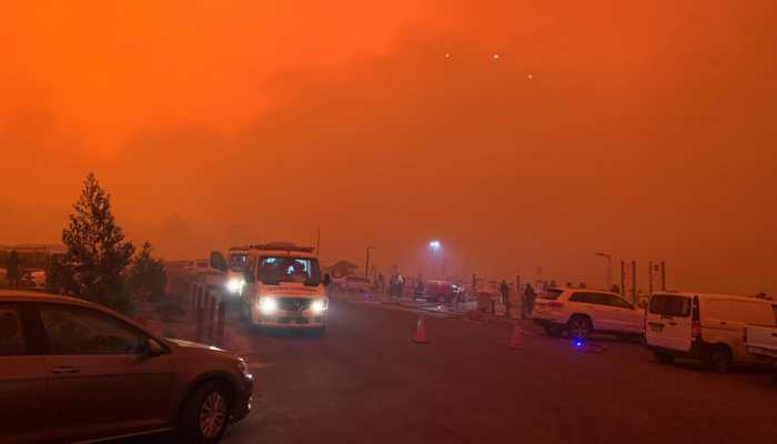 Australian sports fraternity gets behind bushfire relief efforts
