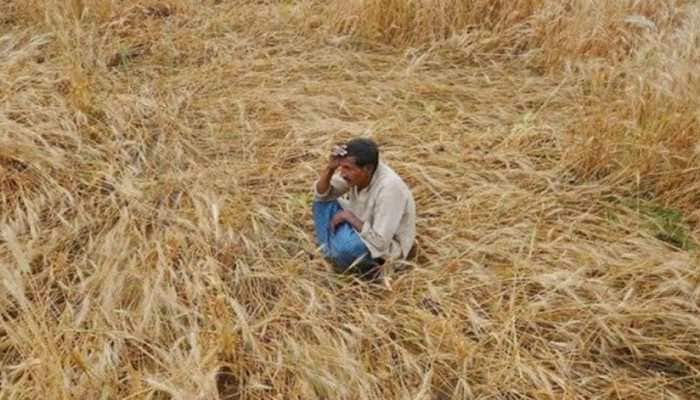 Maharashtra notched around 3,500 farmers' suicides in 2019