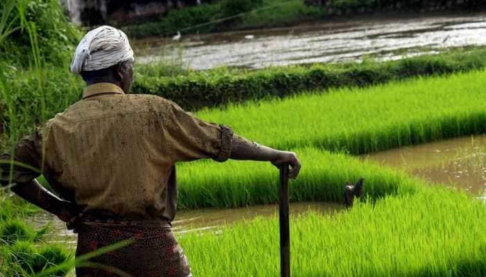 Maharashtra records 300 farmers&#039; suicides in November 2019