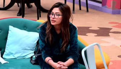 'Bigg Boss 13': New hate story brewing as Mahira Sharma slaps Paras Chhabra