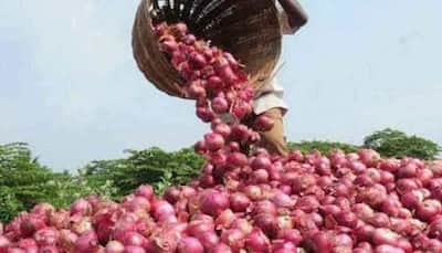 Centre offers imported onions to states at Rs 49-58 per kg