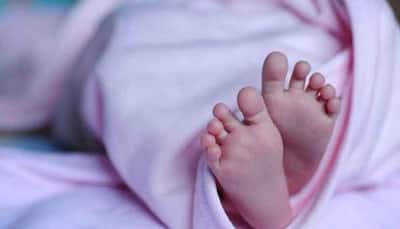 Newborn mauled to death by dog inside operation theatre in UP's Farukkhabad hospital