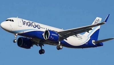 Indigo pilot 'misbehaves' with woman, her 70-year-old mother; 'off-rostered', says Civil Aviation Minister