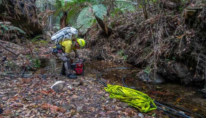 Australia&#039;s bushfire-stricken east welcomes drenching rain